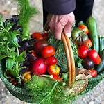 펜션 A La Ferme De Verdurette