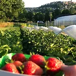 A La Ferme De Verdurette *