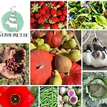 A La Ferme De Verdurette *