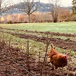 펜션 A La Ferme De Verdurette 콜드즈수르씨엘