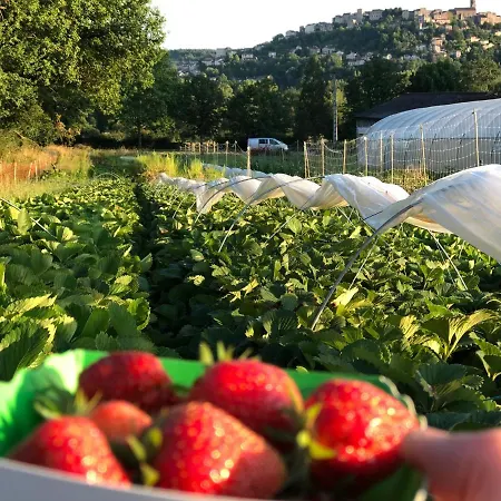 A La Ferme De Verdurette *