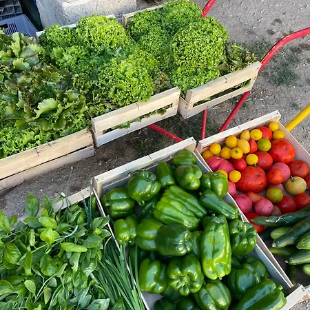 A La Ferme De Verdurette * Cordes-sur-Ciel