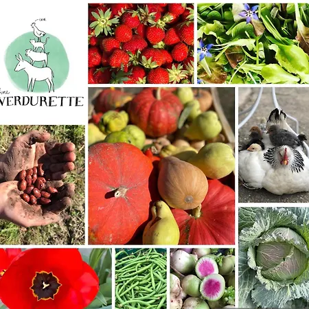 A La Ferme De Verdurette *