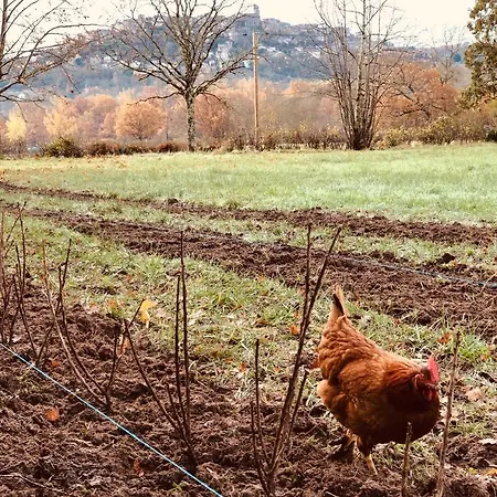 Hébergement de vacances à La Ferme De Verdurette Cordes-sur-Ciel